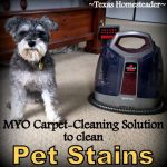My homemade carpet cleaning solution was successful at removing pet stains even a professional carpet cleaner couldn't remove. #TexasHomesteader
