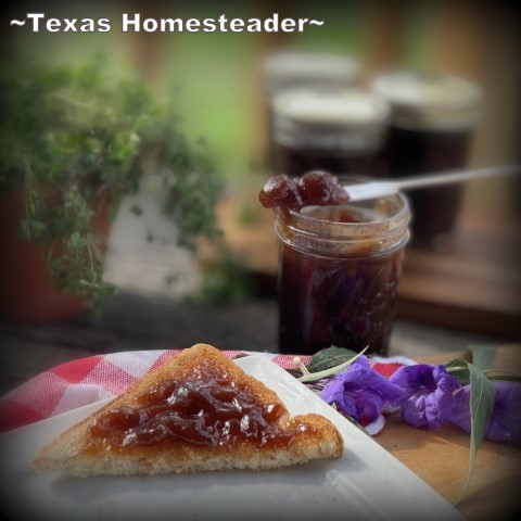 Concord grape jelly recipe with no added pectin. #TexasHomesteader