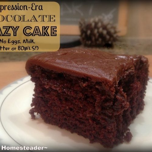 Chocolate Depression Cake (Egg and Dairy-Free) - Southern Plate