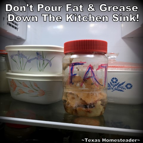 Do not flush fat and grease down your kitchen sink drain! Use a repurposed jar kept in the refrigerator, then add the lid and throw away in the trash. #TexasHomesteader