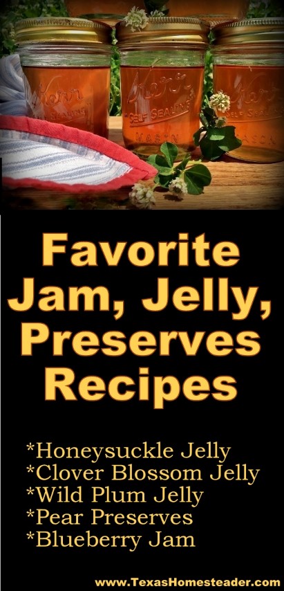 We have lots of great jelly recipes on our site, some don't even require added pectin. Come see how easy it is! #TexasHomesteader