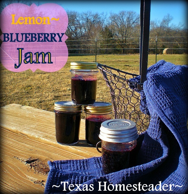 My blueberry jam is delicious and inexpensive. Both my jars & my Tattler lids are reusable - good for me & good for the environment! #TexasHomesteader