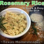 Rosemary rice made with minced fresh rosemary for a delicious rice side dish. #TexasHomesteader