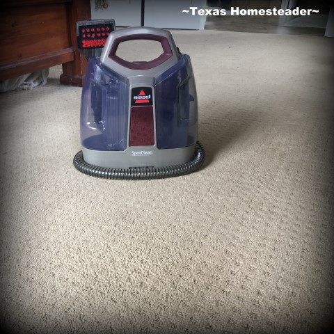 Pet stains on your carpet? We struggled for years to remove the stain, even using a professional carpet cleaning company. But this homemade stain treatment was what actually worked! #TexasHomesteader