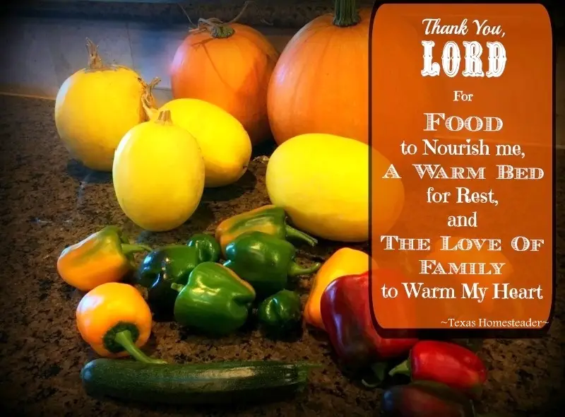 Thanksgiving Blessing. Thank you, Lord! For FOOD to nourish me, A WARM BED for rest, and The LOVE Of Family To Warm My Heart. #TexasHomesteader
