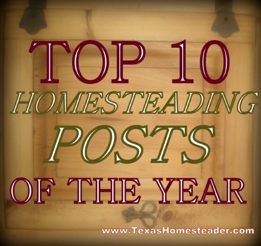 I thought it would be fun to share with you the top ten most popular posts for 2014. Grab a cup of coffee and join me! #TexasHomesteader