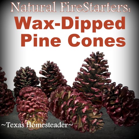 Wax-dipped pinecones are natural fire starters 