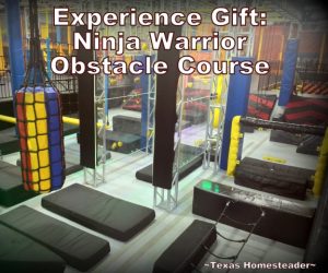 Ninja Warrior Course. We opted for an experience gifts over toys for our grandchildren at Christmas. Come see examples of the fun times we've spent with them. #TexasHomesteader