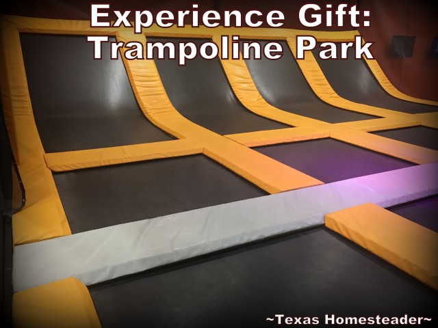 Our kids requested experience gifts only for our grandchildren. We wanted something more physical for them so we took them to an Obstacle Course. #TexasHomesteader