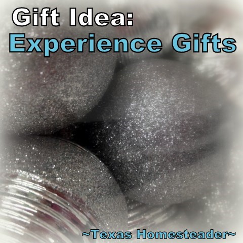 Experience Gifts are a great gift idea, and you can be part of the gift too! #TexasHomesteader