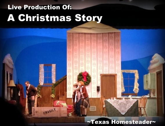 Live theater play 'A Christmas Story' is a fun experience gift idea. #TexasHomesteader