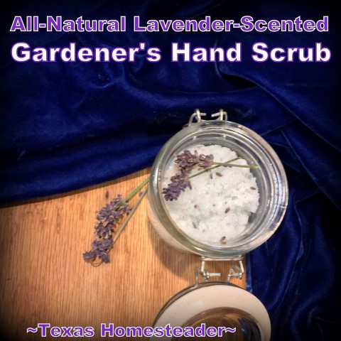 All-Natural Lavender Scented Gardener's Hand Scrub. The perfect gift for the gardeners in your life. Includes crushed lavender blooms. #TexasHomesteader
