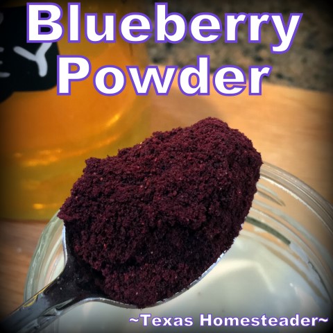 Dehydrated Blueberry Powder. Convenient to store in the pantry and stir into yogurt or pancake or muffin batter #TexasHomesteader