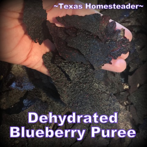 Dehydrated blueberry puree. Dehydrated Blueberry Powder. Conventient to store in the pantry and stir into yogurt or pancake or muffin batter. #TexasHomesteader