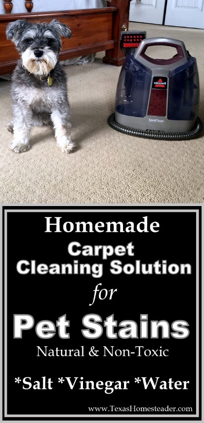 Homemade pet outlet stain cleaner