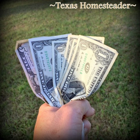 Buying new cloth napkins was going to be expensive. But I found a solution. #TexasHomesteader
