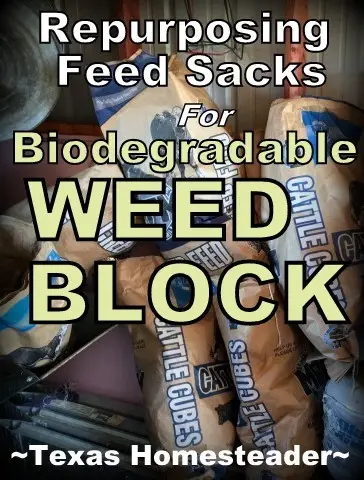 Stop Garden Weeds With Biodegradable Weed Block 1 Biodegradable weed block for the garden? As it turns out, it's really a thing! And it degrades by the end of the season to just mix back into your soil. I hate the plastic weed block, this more natural material appeals to me! #TexasHomesteader