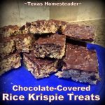 Simple chocolate covered rice krispie treats. #TexasHomesteader