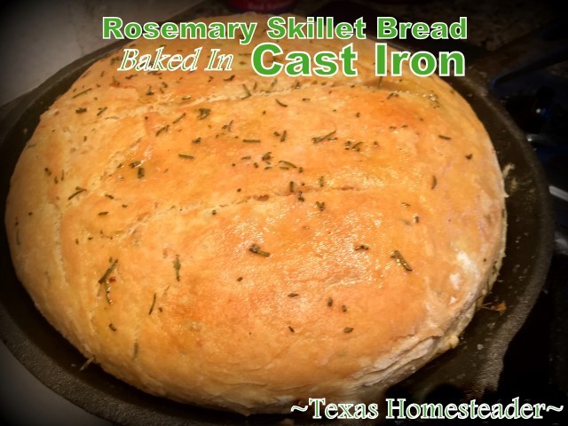 Rosemary Skillet Bread baked in a cast iron skillet. #TexasHomesteader