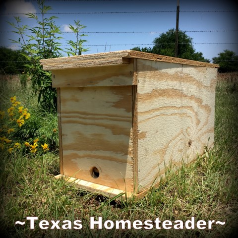 We needed temporary housing for a swarm of bees we caught. We can quickly build FOUR 5-frame nuc boxes from a single piece of plywood. #TexasHomesteader