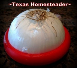 Silicone Food Huggers. Must-Have gifts For Cooks. Come see the most used tools in my homestead kitchen. I always opt for tools that make cooking easier. #TexasHomesteader