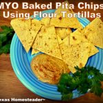 Simple homemade baked chips using flour tortillas. #TexasHomesteader