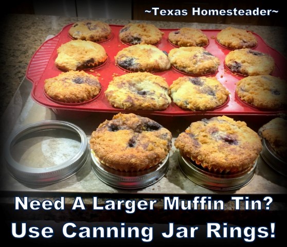 Canning jar rings expand muffin tin spaces to bake more muffins at a time. #TexasHomesteader