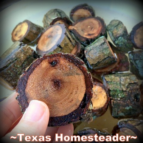 Soaking pecan wood rounds. Delicious Smoked Pork using pecan wood smoke. Delicious. And shredding all that meat can be done in minutes using our shortcut. #TexasHomesteader