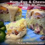 Quick homemade breakfast bite with egg, ham and cheese. #TexasHomesteader