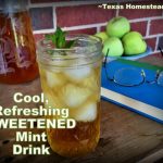 A refreshing fresh mint drink. #TexasHomesteader