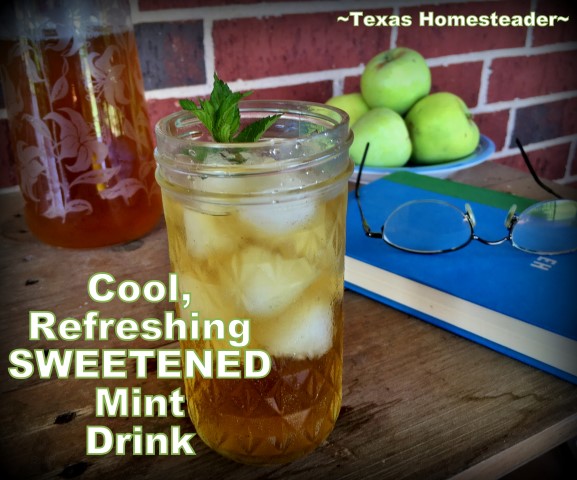 I've got chocolate mint growing outside & a gorgeous Stevia plant too. Why not brew it into a refreshingly cold, sweetened minty beverage? #TexasHomesteader