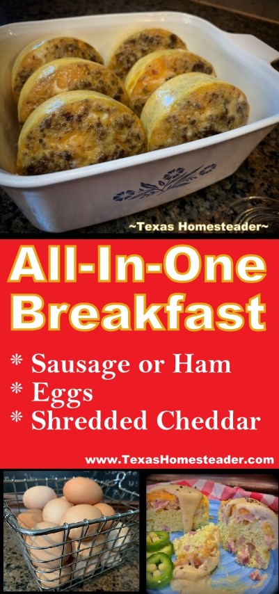 3-Ingredient All-In-One Breakfast. Sausage or ham, eggs and shredded cheddar cheese. #TexasHomesteader