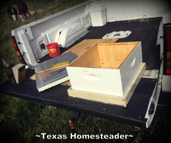 There's more to harvesting honey than just walking to the hives. Come see the steps we take before harvesting that sweet honey we crave. #TexasHomesteader