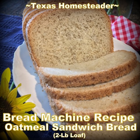 Homemade bread using oat flour. #TexasHomesteader