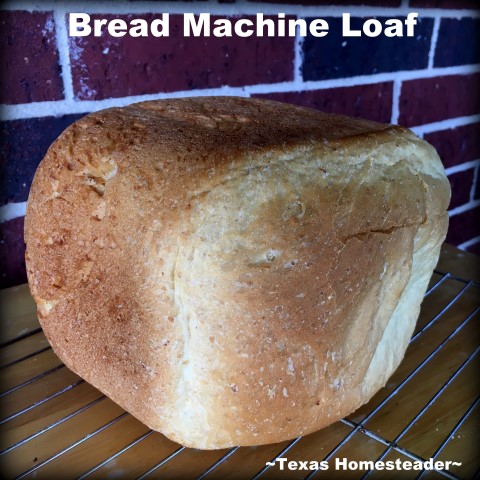 Bread Machine recipe for a delicious 2-lb loaf of homemade oatmeal bread. Use your bread machine to simplify bread-baking day! #TexasHomesteader