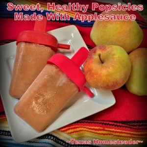 Healthy popsicles made from frozen applesauce. A zero-guilt cold treat! #TexasHomesteader