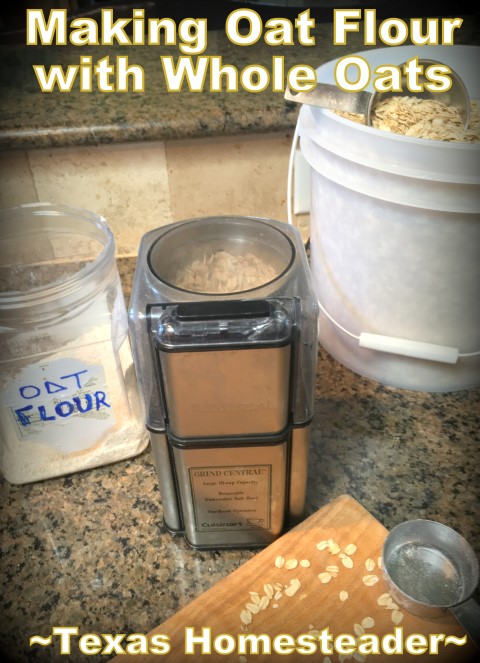 I grind whole oats into 'oat flour' and include it as a healthy ingredient in my homemade bread. The same hearty feel as whole wheat. #TexasHomesteader