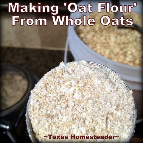 Oat flour can be made quickly, easily and cheaply by grinding whole oats into a coarse powder. #TexasHomesteader