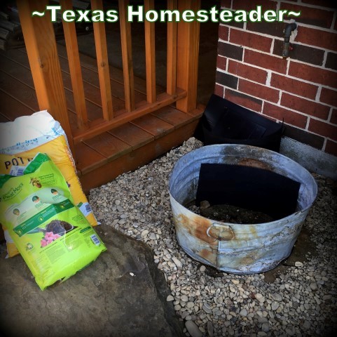 Plugging up the rusted-out section. I was able to repurpose an old, rustic, rusted, mishapen galvanized tub to add beauty to our porch landscape. I planted a blueberry in it. #TexasHomesteader