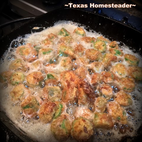 Fried Okra. An easy way to accumulate fresh okra from the garden & prepare it for frying at a later time. A quick mixture of flour, cornmeal & spices. #TexasHomesteader