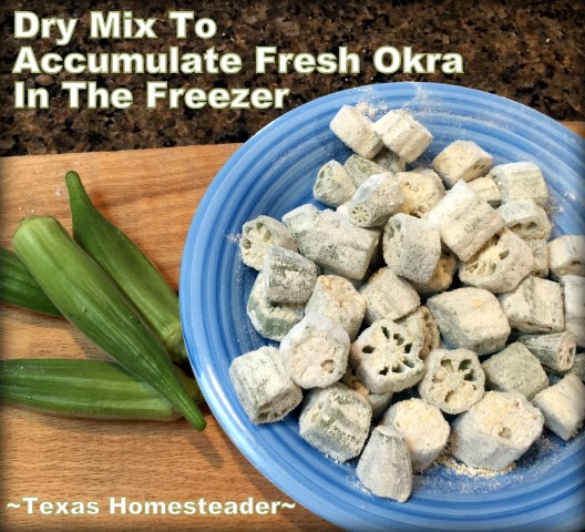 An easy way to accumulate fresh okra from the garden & prepare it for enjoying fried okra at a later time. A quick mixture of flour, cornmeal & spices. #TexasHomesteader