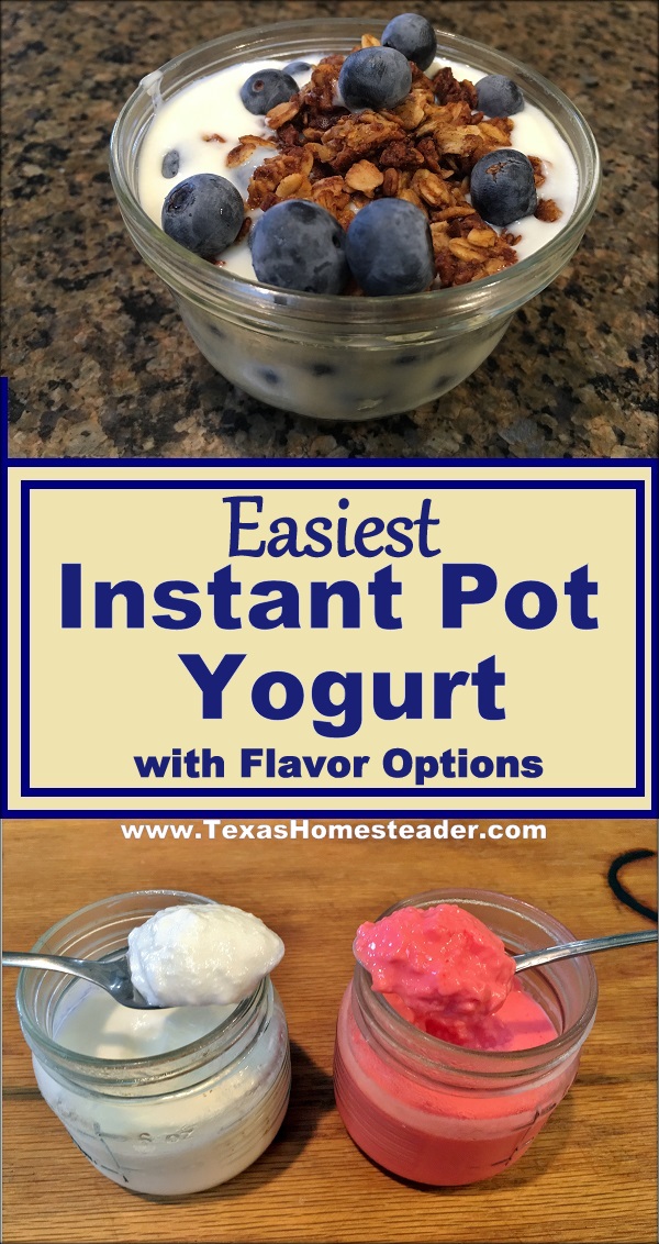 Making homemade yogurt just got easier using your Instant Pot. I even make yogurt while I'm sleeping. And there's a nifty trick to make flavored yogurt too. Check it out! #TexasHomesteader #Homemade #Yogurt #InstantPot #EasyRecipe #EatHealthy