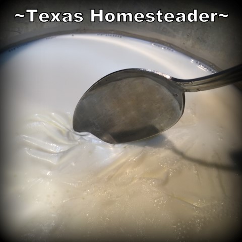 Remove milk skin from cooled milk. Instant Pot Yogurt - so easy! I'm sharing step-by-step instructions with photos to make your own creamy yogurt. #TexasHomesteader