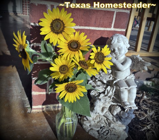 Sunflower bouquet angel remembrance flowers #TexasHomesteader