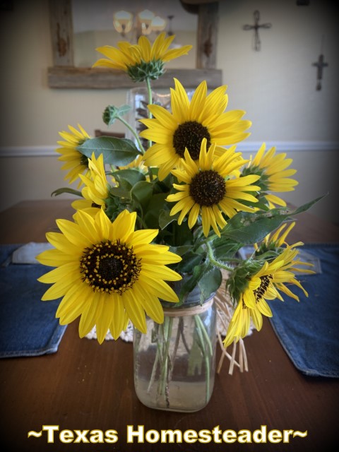 Sunflowers flower bouquet blossom flower arrangement #TexasHomesteader