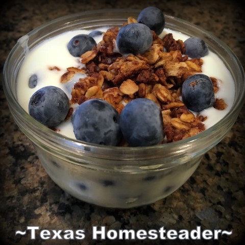 Homesteading allows me to provide for myself healthy homemade food, like this yogurt sprinkled with granola and fresh blueberries. #TexasHomesteader