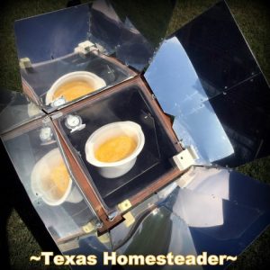 Scrambled eggs cooked in solar oven. Frugality can be eco friendly too. Decluttering, coupons, gifting, etc. Come see 5 frugal things we did to save money this week #TexasHomesteader