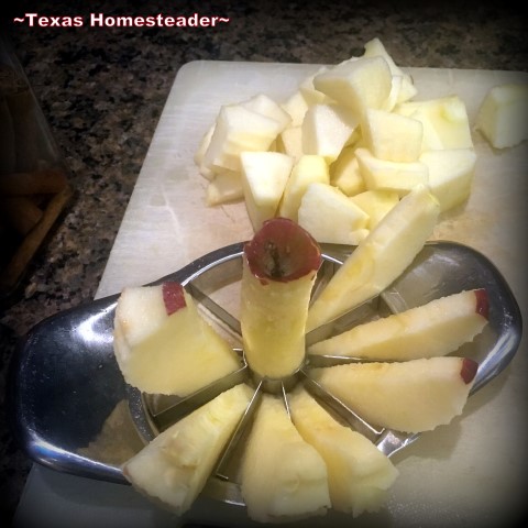 Using this apple cutter to slice the apple into thicker wedges. #TexasHomesteader