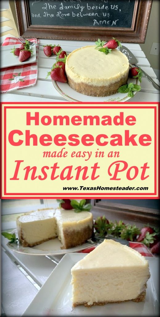 Easy Instant Pot Cheesecake Recipe ~ Texas Homesteader