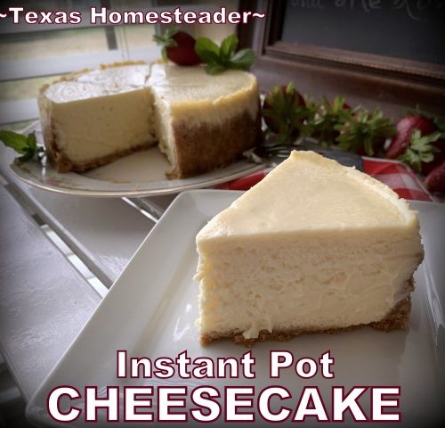 Instant Pot Crème Brûlée Cheesecake Recipe - Rosemary & Maple